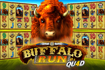Buffalo Run Quad
